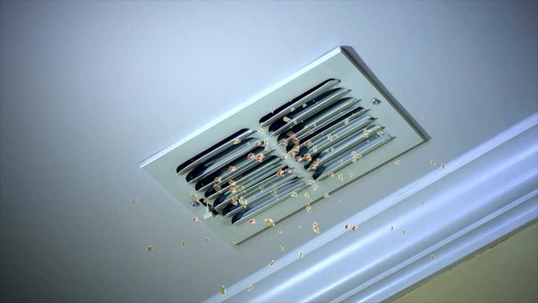 Best Air Duct Cleaning Near Me in Lindenhurst, IL