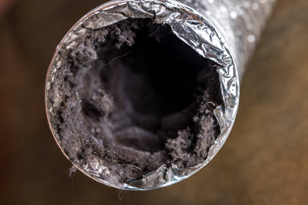 Best HVAC Air Duct Cleaning  in Lindenhurst, IL