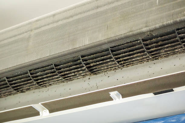 Best Air Duct Cleaning Near Me  in Lindenhurst, IL